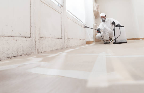 24/7 Emergency Black Mold Remediation experts in Georgetown, TX