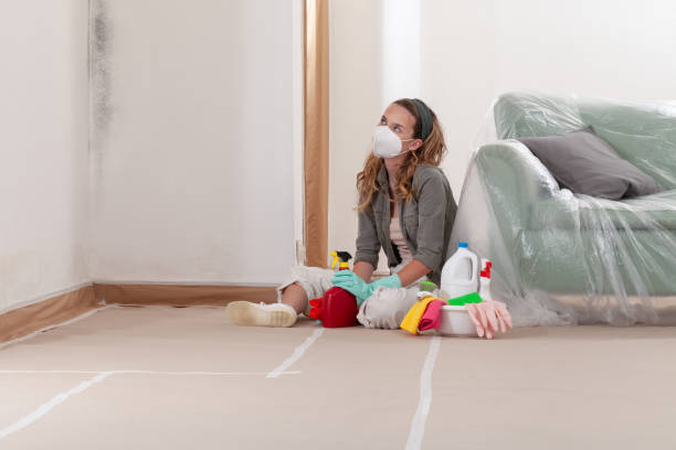 Reliable Black Mold Remediation contractor in Georgetown, TX by Car Mold Remediation